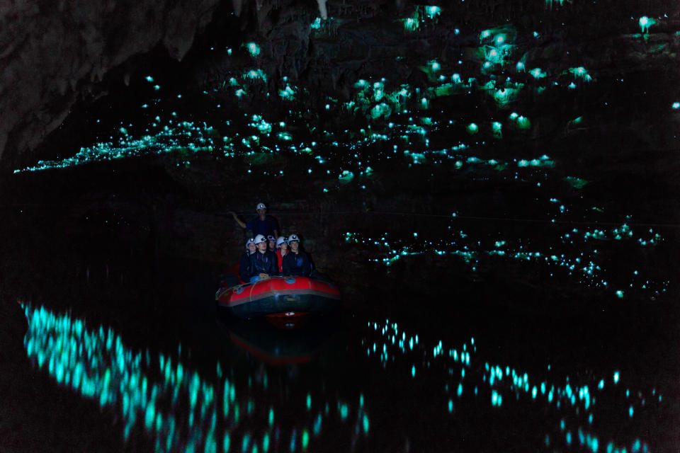 Regorgeant de joyaux indiscutables, la Nouvelle-Zélande appelle à l'aventure. Laissez-vous envoûter par les caves de Waitomo, la grotte aux vers luisants. Féerique, la découverte se fait en barque.