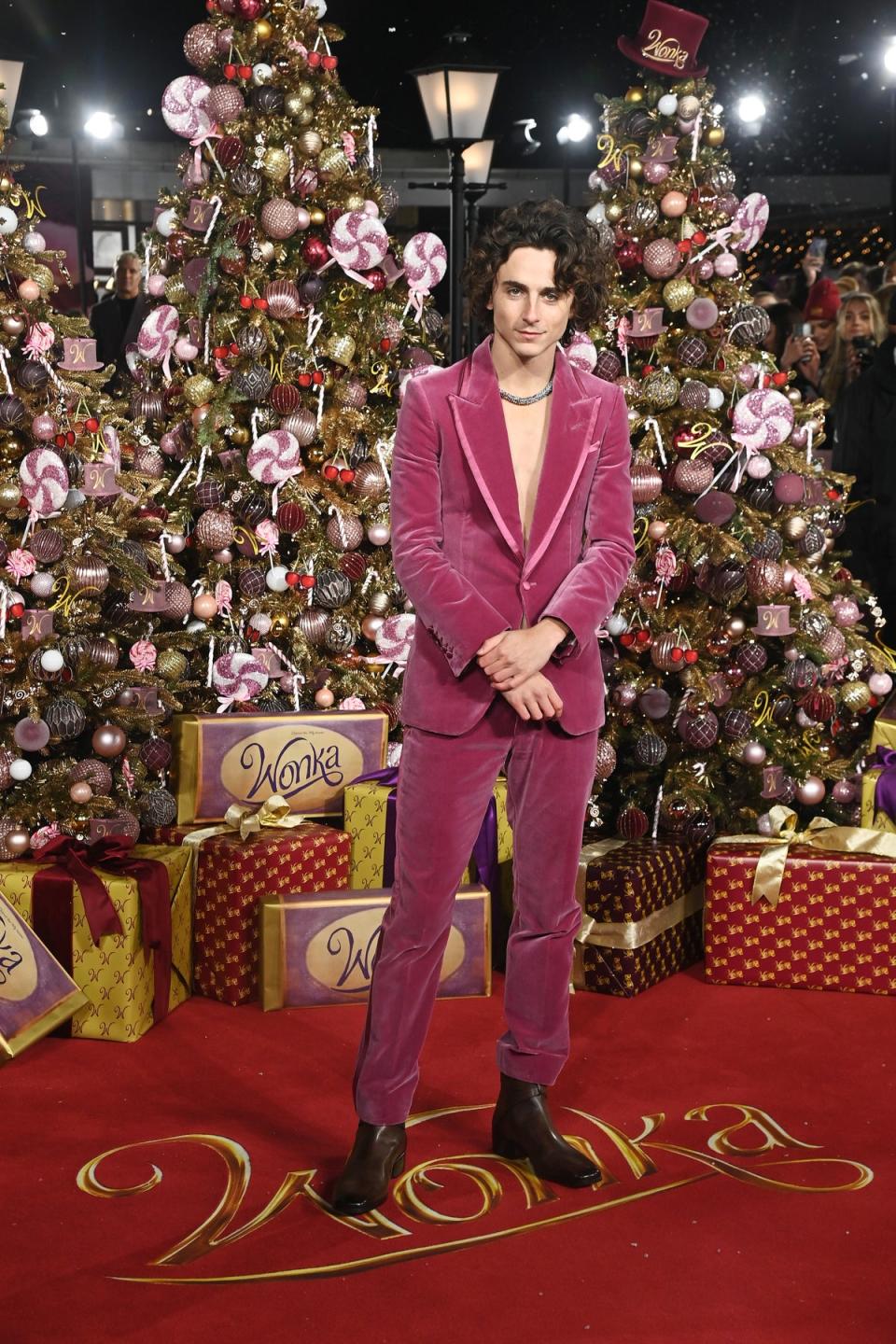 Chalamet wears Tom Ford to the London premiere of Wonka, 2023 (Dave Benett)