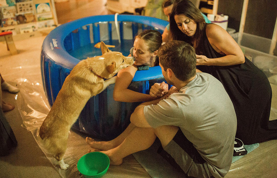 Ranger, the loyal corgi, refuses to leave his owners side during home birth. Source: Caters News