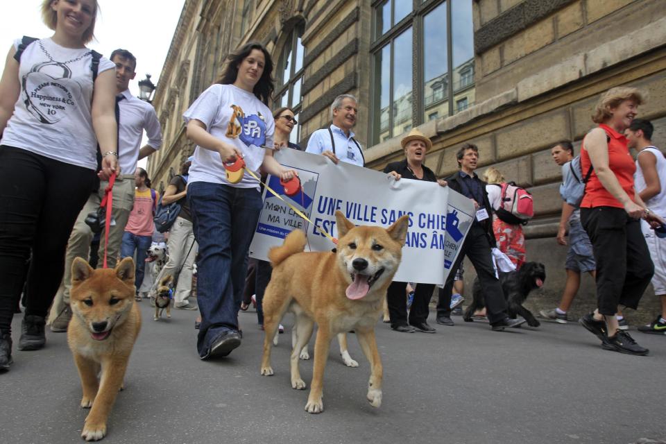 Dog owners march toward the Tuileries Gardens, in Paris, Saturday June 8, 2013. At least 100 pooches with owners in tow, holding leashes marched near the Louvre at a demonstration to demand more park space and access to public transport for the four-legged friends. Sign reads: A City without Dogs is a City Without Soul. (AP Photo/Remy de la Mauviniere)