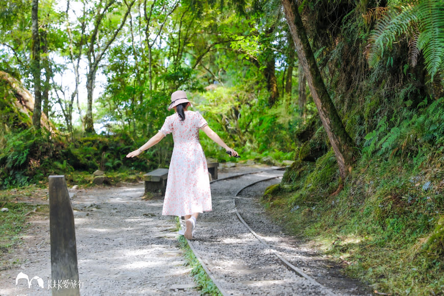 宜蘭太平山｜見晴懷古步道