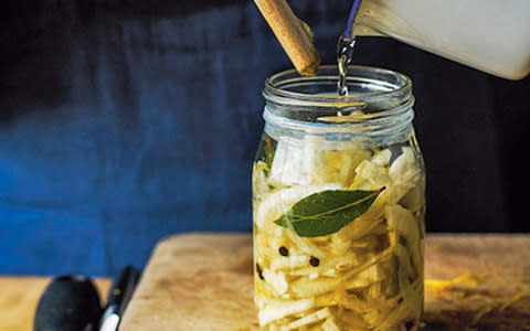 Quick-pickled fennel with lemon zest and bay - Credit: Haarala Hamilton