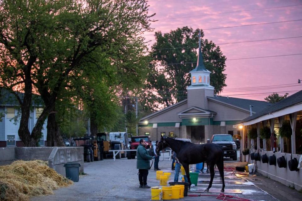 A horse gets a bath after morning workouts on the backside barns at Churchill Downs in Louisville, Ky., Saturday, April 29, 2023. The stables area is generally only open to licensed personnel such as trainers, owners and workers but guests sometimes visit on big days such as the Kentucky Derby. Silas Walker/swalker@herald-leader.com