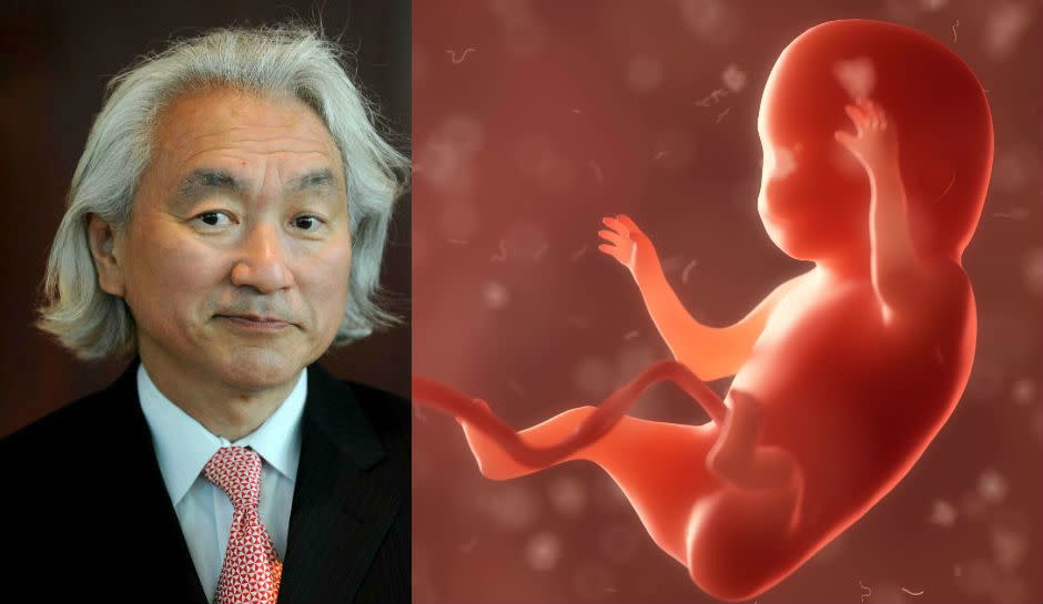 Michio Kaku and human embryo