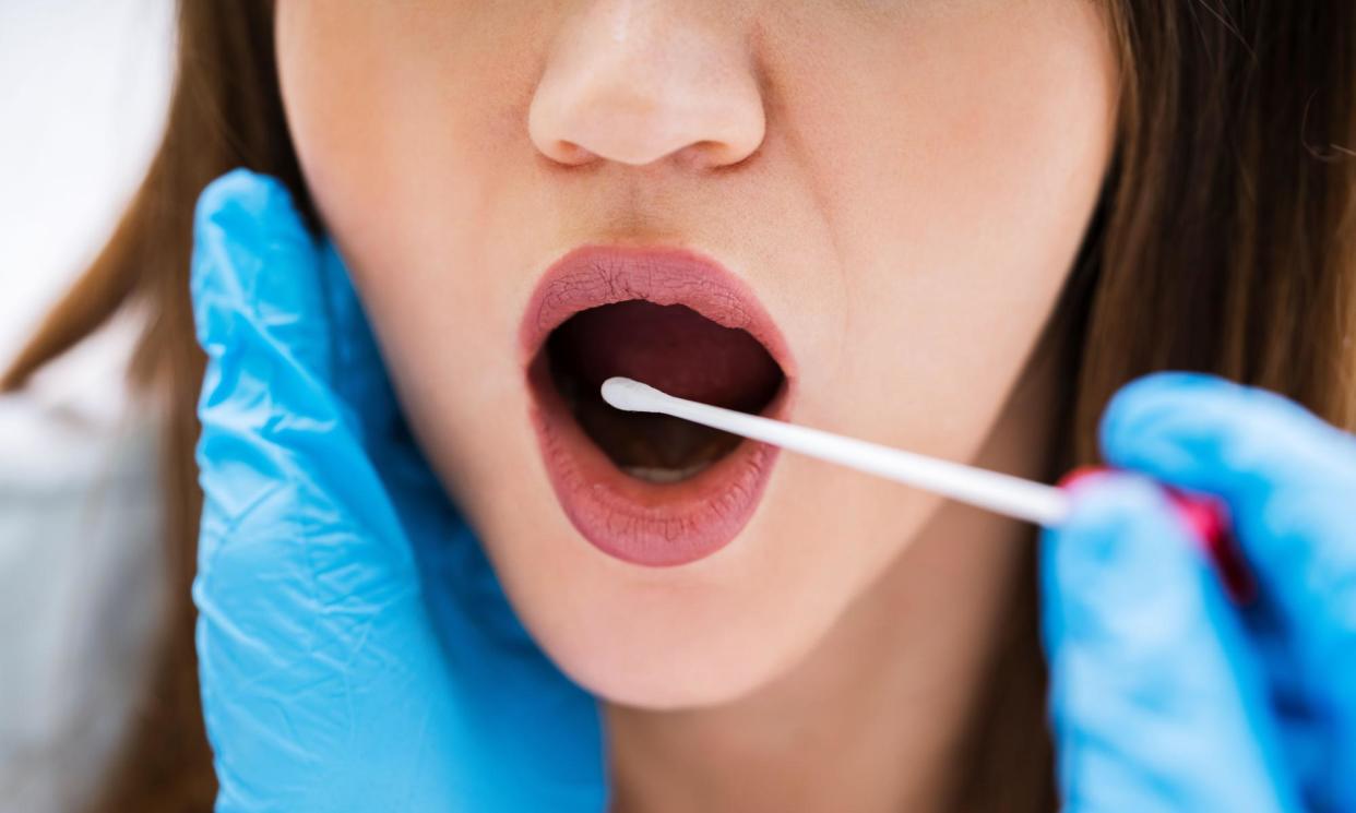 <span>Fusobacterium is a type of bacteria commonly found in the mouth.</span><span>Photograph: Andriy Popov/Alamy</span>