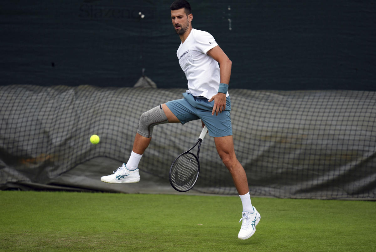 Wimbledon 2024 Novak Djokovic and Andy Murray are in the draw after