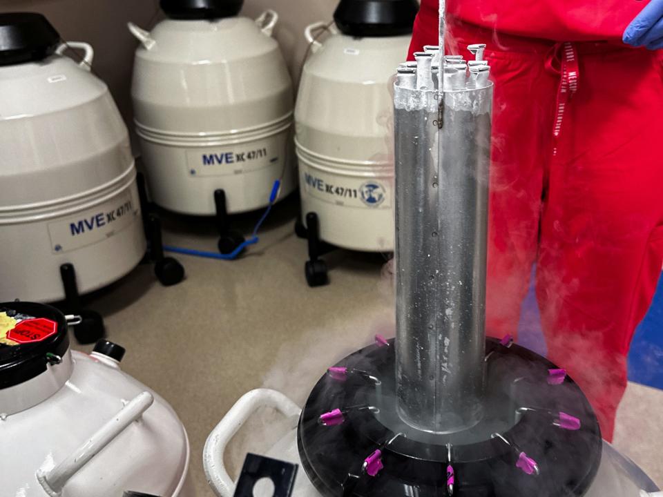 A nurse practitioner in Alabama lifts frozen embryos out of IVF cryopreservation in March.