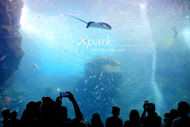 桃園水族館xpark 八景島水族館 開幕首日心得分享 Ig必拍打卡點整理 旅遊 Yahoo奇摩行動版