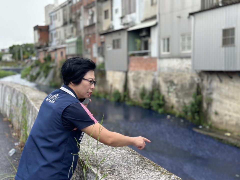 新竹縣湖口鄉長吳淑君4日獲報德盛溪遭污染，溪水變成藍色，魚群有死亡現象，現場還散發刺鼻味。（中央社／吳淑君提供）