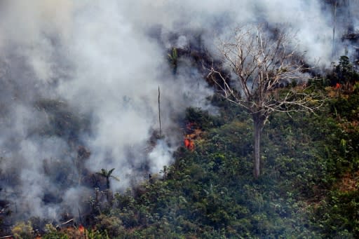 This fire, one of hundreds burning in the Amazon region, was photographed about 65 kilometers (40 miles) from Porto Velho in northern Brazil's Rondonia state, on August 23, 2019