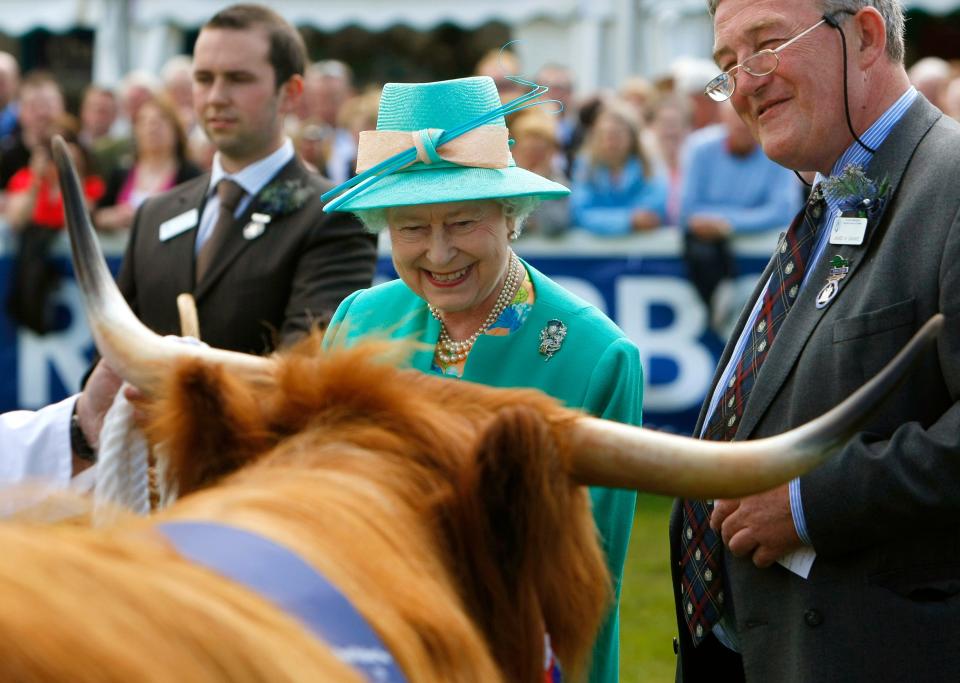 Queen Elizabeth meets a Highland cow in Scotland