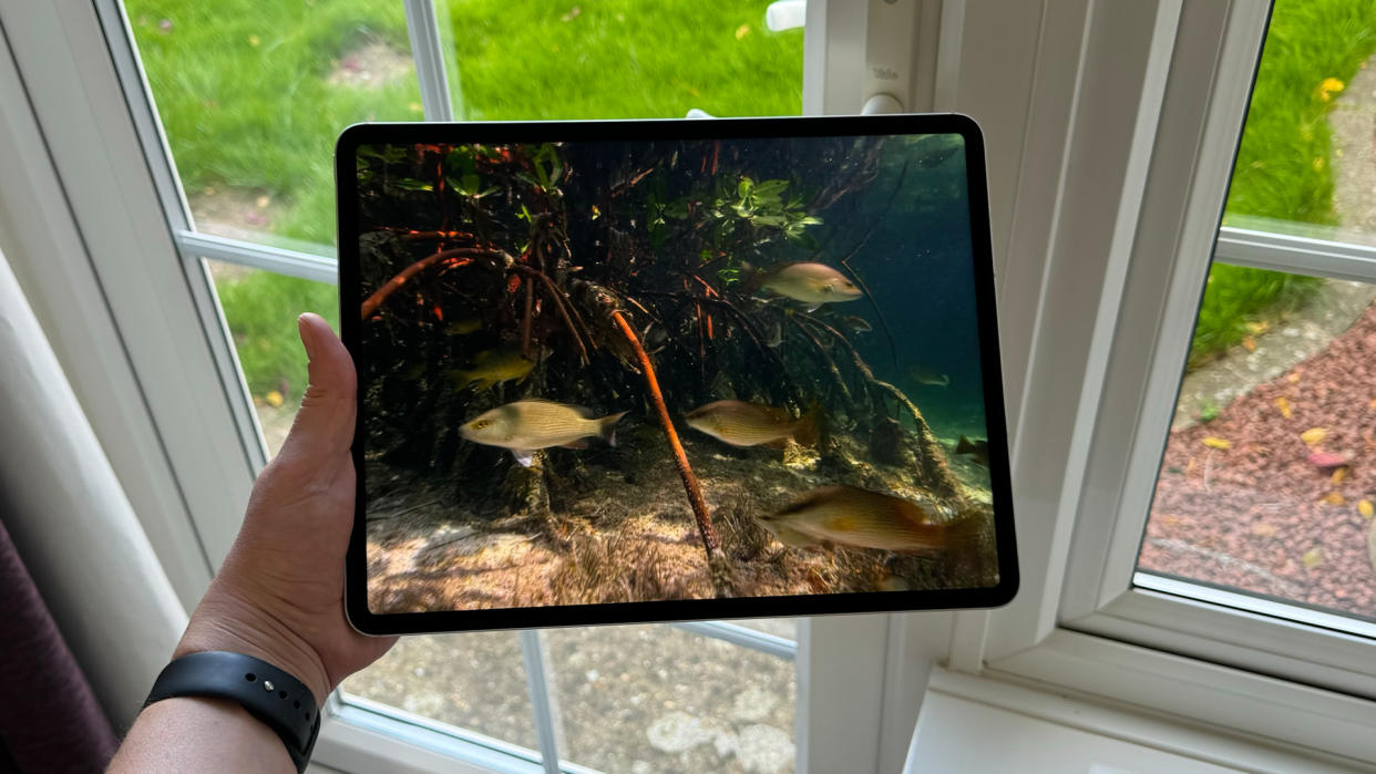  Tablet: Apple iPad Pro 12.9 6th Generation. 