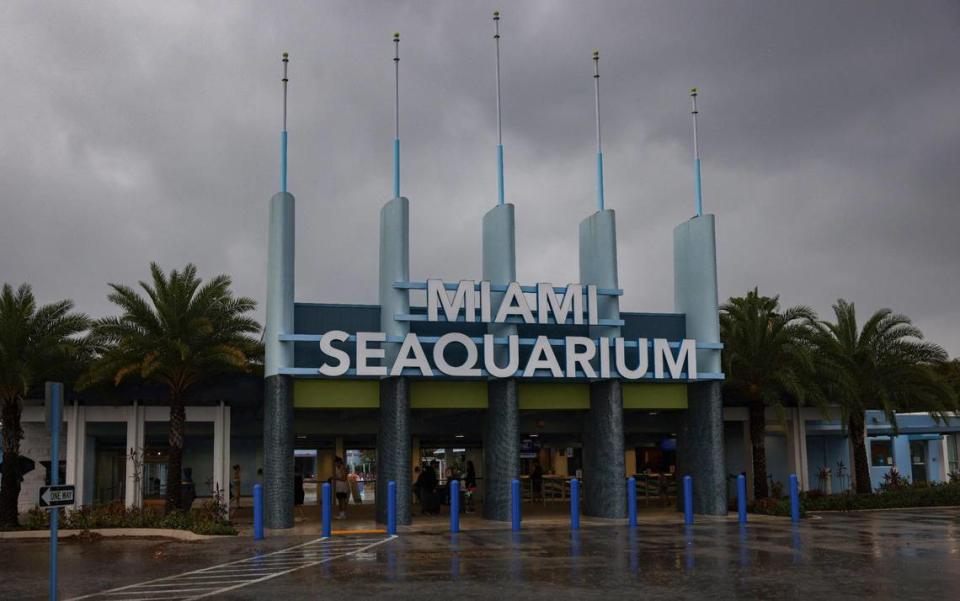 Photo shows a view of the Miami Seaquarium after a press conference on Thursday, March 30, 2023 at the Intercontinental hotel in Downtown Miami to discuss the future of Lolita, the Seaquarium orca, potentially being released into the wild.