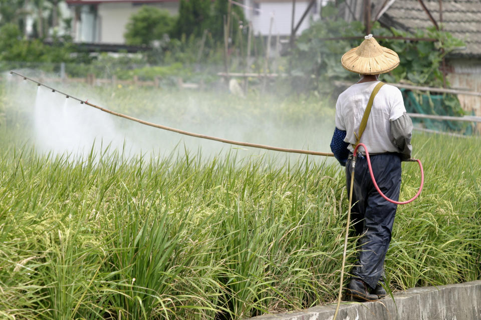 圖片來源：iStockphoto