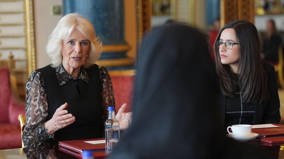 Queen Camilla speaking to SafeLives changemakers at Buckingham Palace