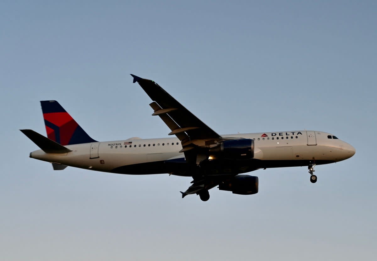 Stock image of a Delta Airlines flight (AFP via Getty Images)