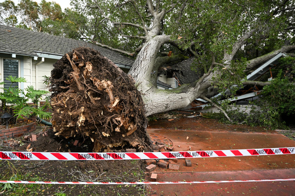 A downed tree fell onto a home in San Jose, as seen on Feb. 4.