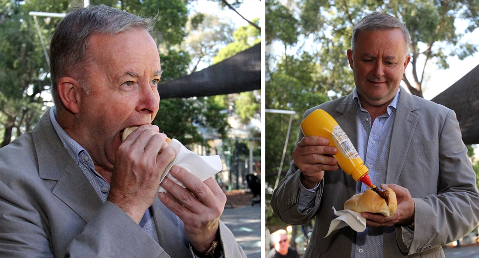 Anthony Albanese's electorate of Grayndler had the most vegan stalls last Federal Election. Source: AAP