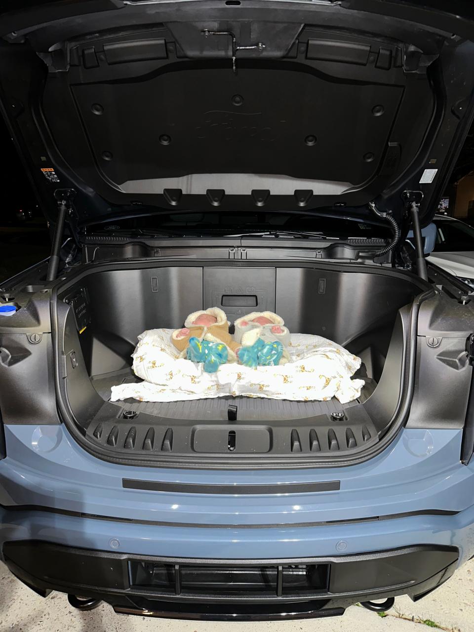 Twins Lucas and Liam Zebron of Carollton, Virginia, pictured here on Jan. 16, 2023, rest in the front trunk of the family's Ford F-150 Lightning. Their parents bought an extra pad for comfort in the spacious area.