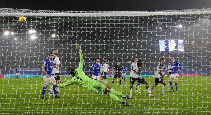 Premier League - Brighton & Hove Albion v Fulham