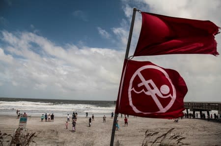 Red flags to indicate that the ocean has a high tide and locals should not be swimming due to danger are seen at Jacksonville Beach before Hurricane Dorian, in Jacksonville