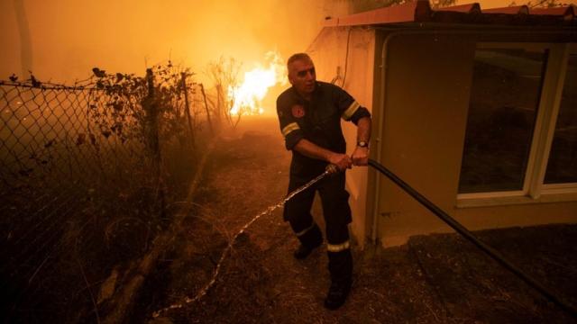 Hifas da Terra tras los incendios de 2006