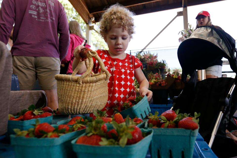 FILE - Three-year-old Ellie Bray picks out some strawberries during Strawberry Day at the Athens Farmers Market in Athens, Ga., on Saturday, April 29, 2023. The market will return during Memorial Day Weekend.