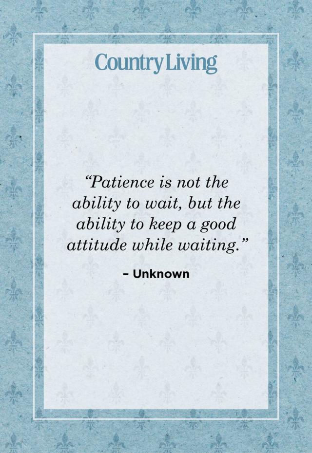 patience is a virtue quotes