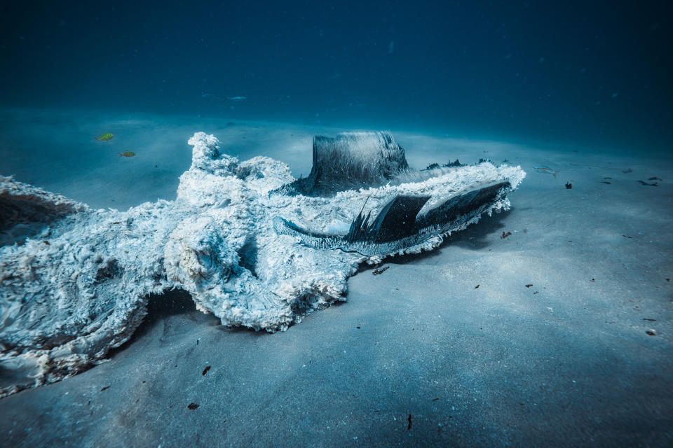 Close-up picture of a dead whale on the seafloor.