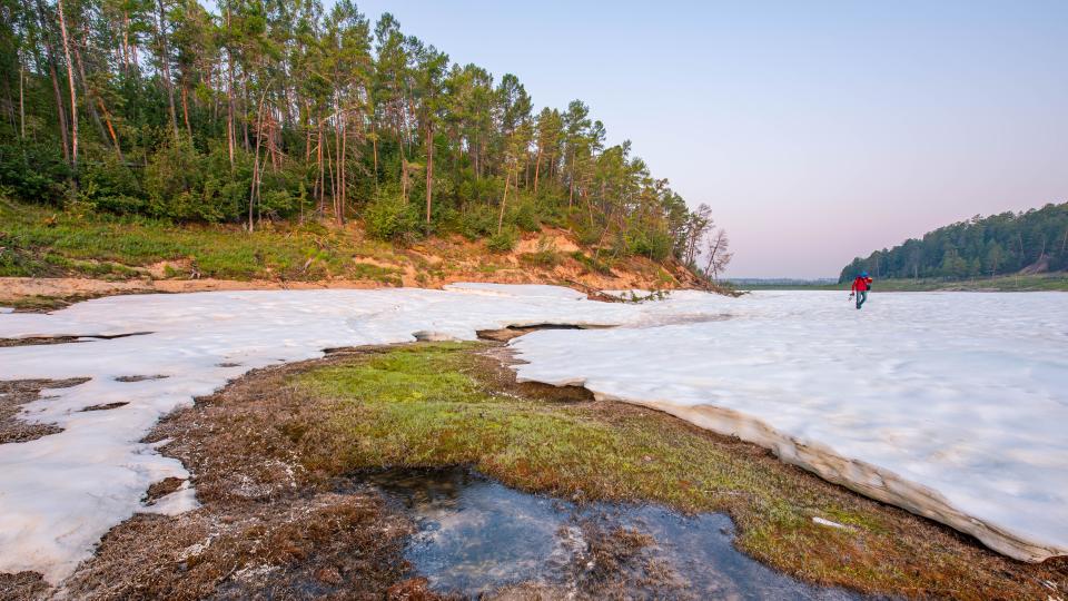 Meltwater trickles under a layer of ice and moss, surrounded by trees.