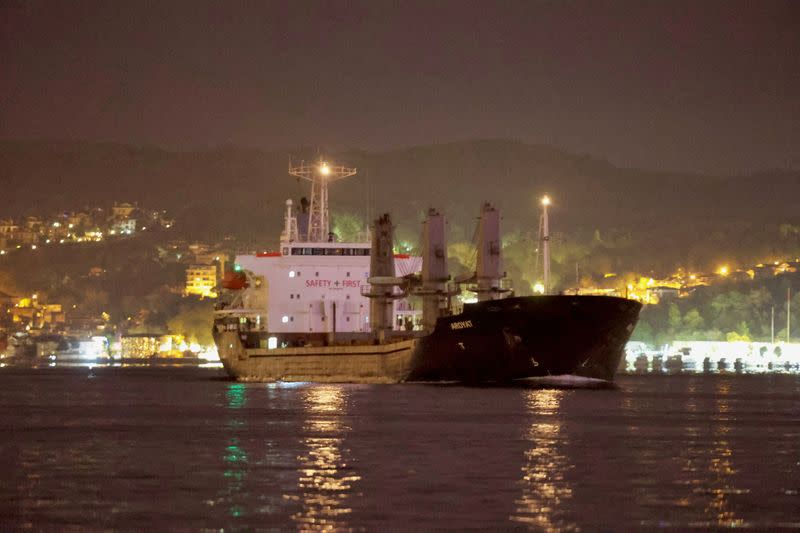 FILE PHOTO: Cargo ship Aroyat, carrying Ukraine grain, transits Istanbul's Bosphorus
