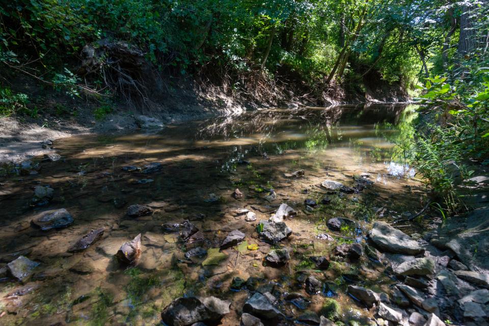 Light filters onto rocks and leaves Thursday afternoon in the shallow water of Squaw Creek in Brown County. Federal officials are expected to soon rename five creeks and one stream in Kansas that have the word "squaw" as part of their names.