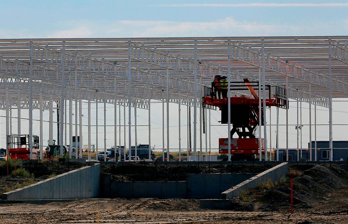 Local Bounti Northwest formally dedicated its new lettuce growing greenhouse in Pasco, shown here during construction, on May 7.