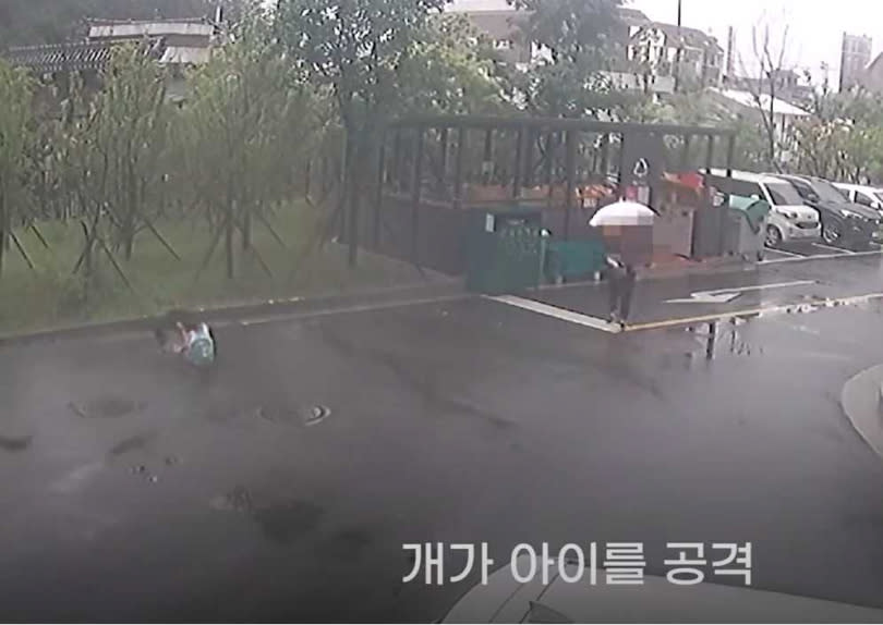 一名撐白色雨傘的成年人走過停車場，竟冷眼旁觀。（圖／翻攝自뉴스1TV）