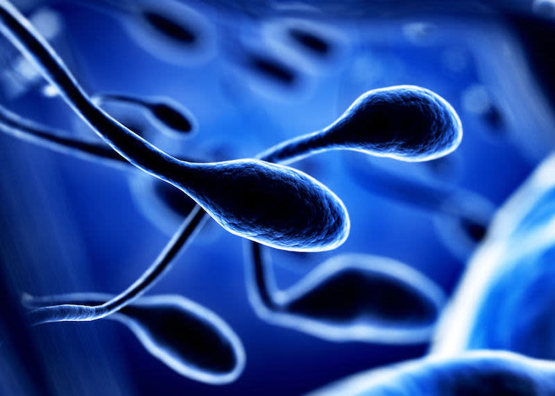 A normal sperm count is about 15 million sperm per millilitre of semen. — AFP pic