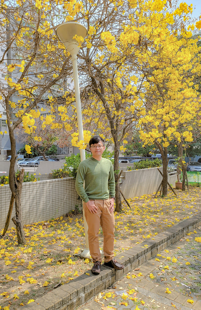 台中中區國稅局｜黃花風鈴木