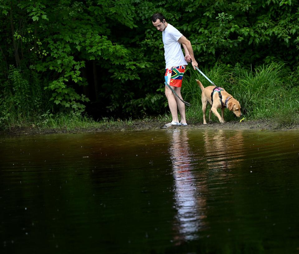 Freddie Cook of Framingham lets his dog Bella sniff around a pond while out for a walk at Callahan State Park in Framingham, July 16, 2021.  