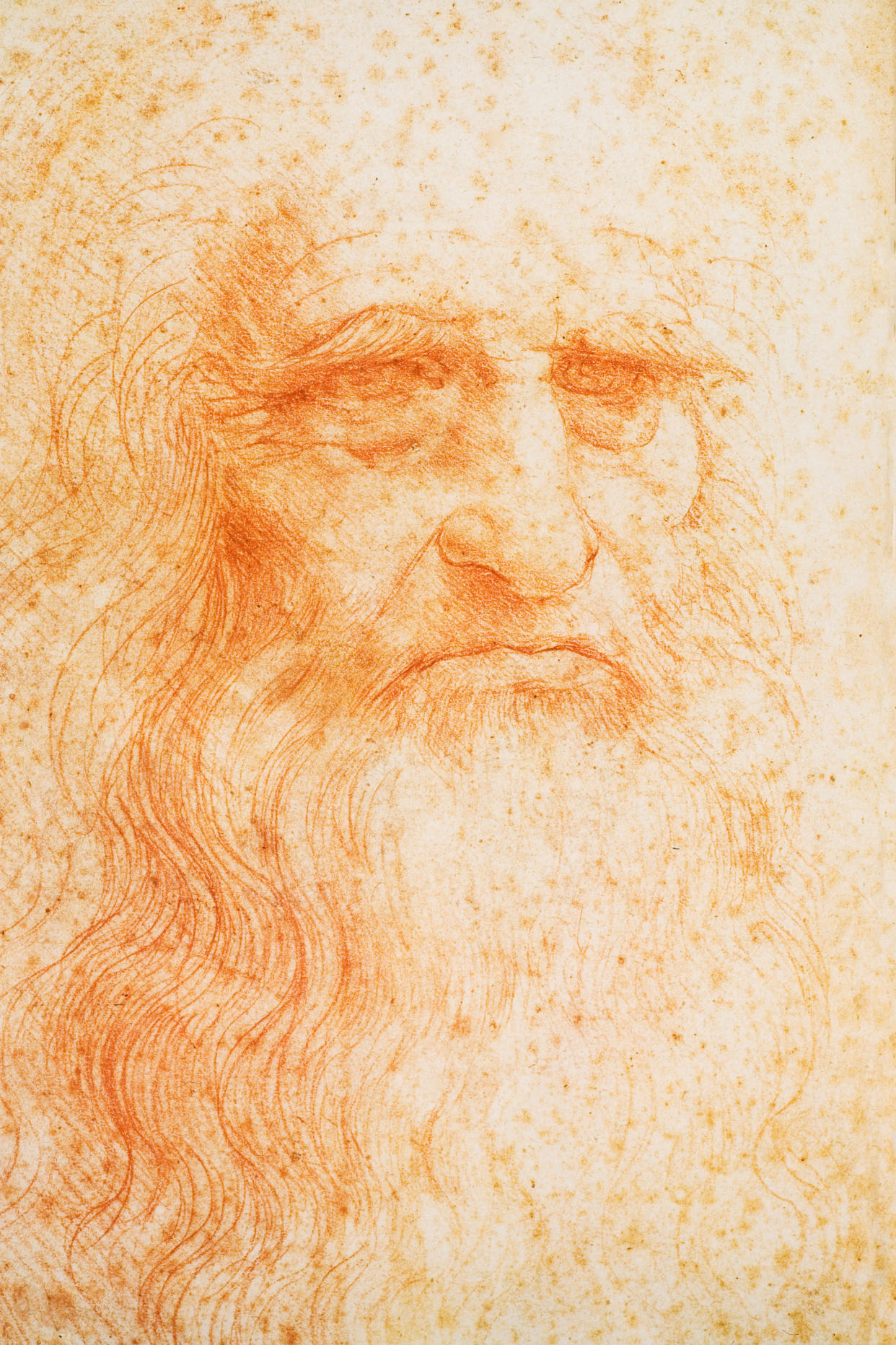 Self portrait of Leonardo da Vinci, drawing in red chalk