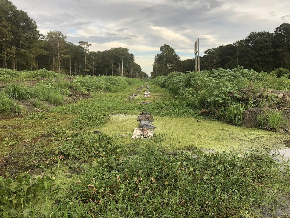 The current status of the Bayou Bridge pipeline project through the swamp. (Photo: David Lohr/HuffPost)