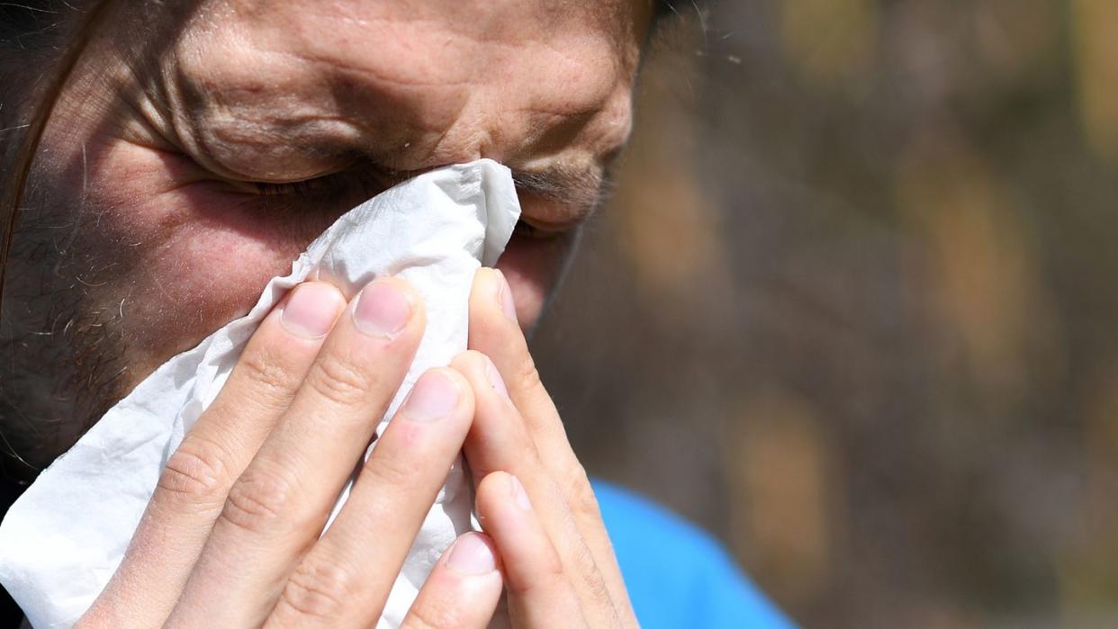 Niesreiz, laufende Nase und tränende Augen zählen zu den typischen Heuschnupfensymptomen.