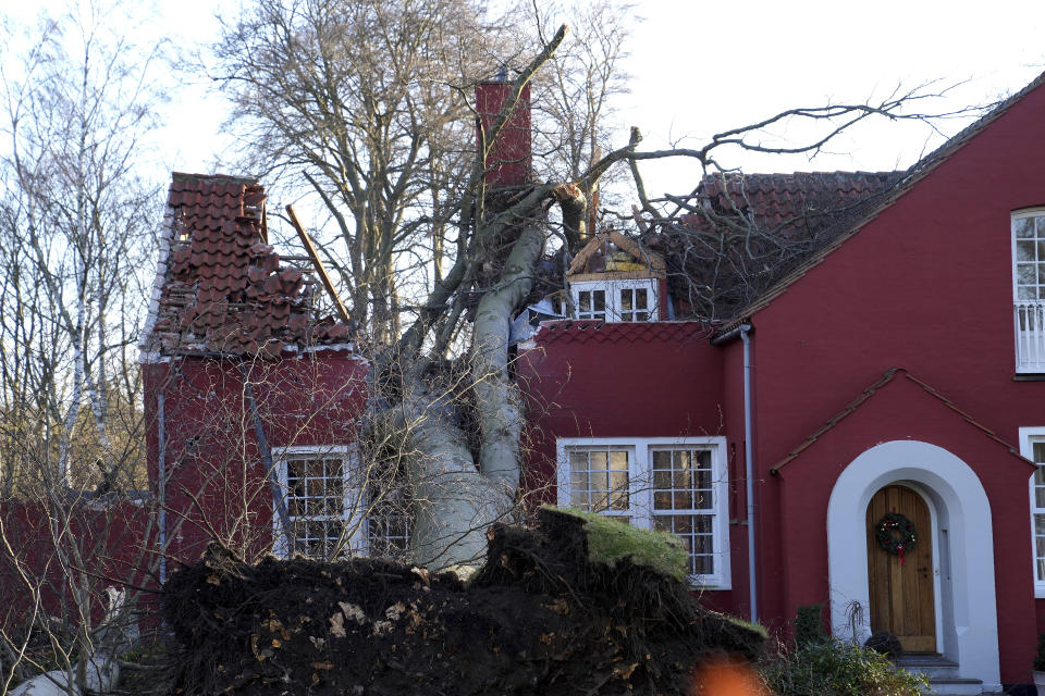 A house damaged by a fallen tree in Charlottenlund, north of Copenhagen, Denmark, Sunday Jan. 30, 2022, after a large winter storm caused havoc in Scandinavia with tens of thousands of people without electricity, trees uprooted and bridges closed. (Keld Navntoft/Ritzau Scanpix via AP)