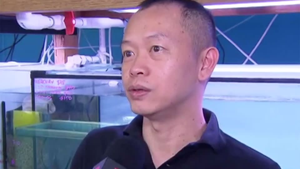 Store owner Song Truong Le said the fish were doomed unless the thieves knew how to look after them. Source: 7 News