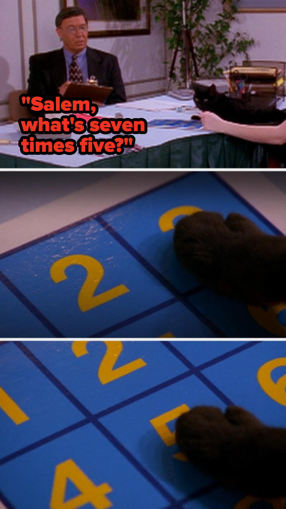 While he is being evaluated for a cat show, Salem answers a math question for a judge