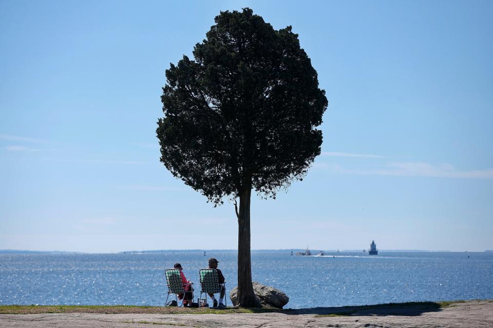 Two people sit under the solitary tree at Fort Phoenix in Fairhaven, enjoying the view and the weather.