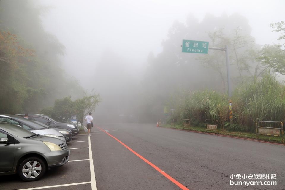 嘉義阿里山奮起湖一日遊