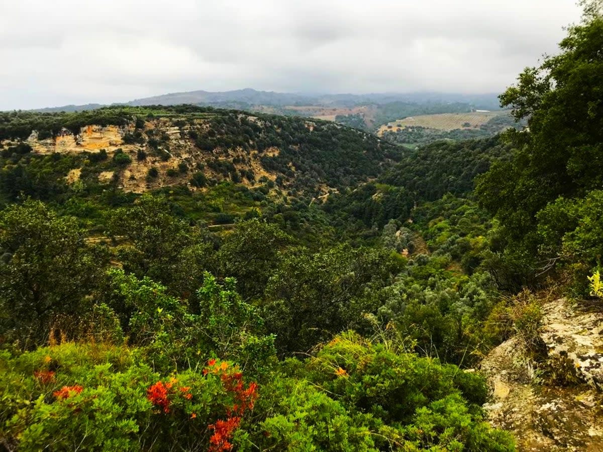 View from the ridge at ancient Eleutherna, Crete (Len Williams)