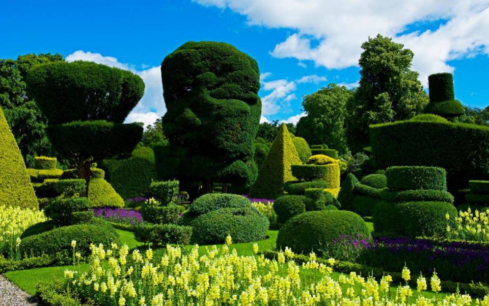 topiary gardens Levens Hall South Lakeland Cumbria best visit summer - John Morrison 