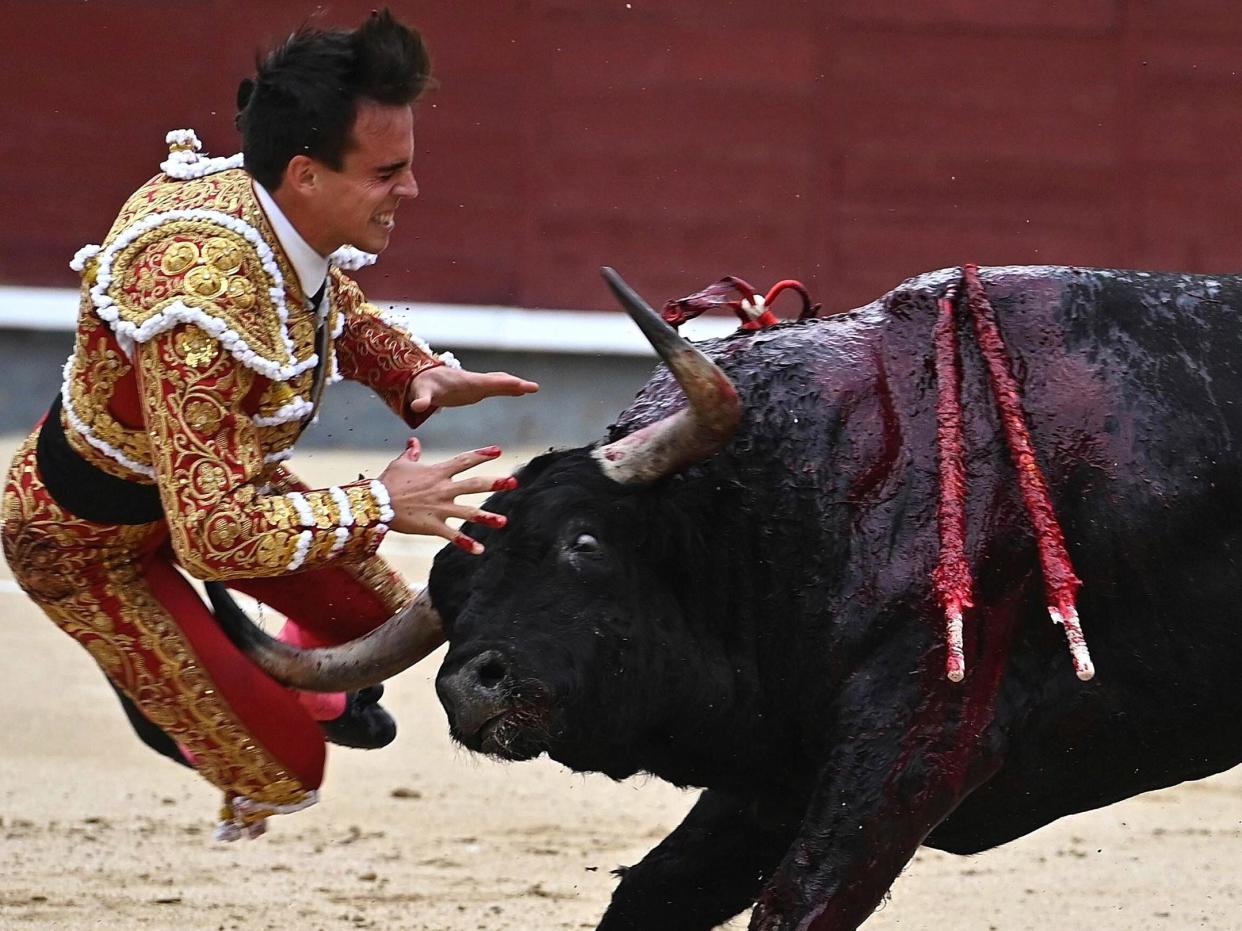 Spanish bullfighter Gonzalo Caballero is charged by a bull during a bullfight on the occasion of the Spanish National Day at Las Ventas bullring: EPA