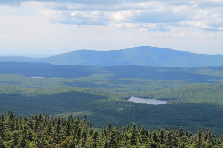 Grout Pond and Glastenbury Mountain