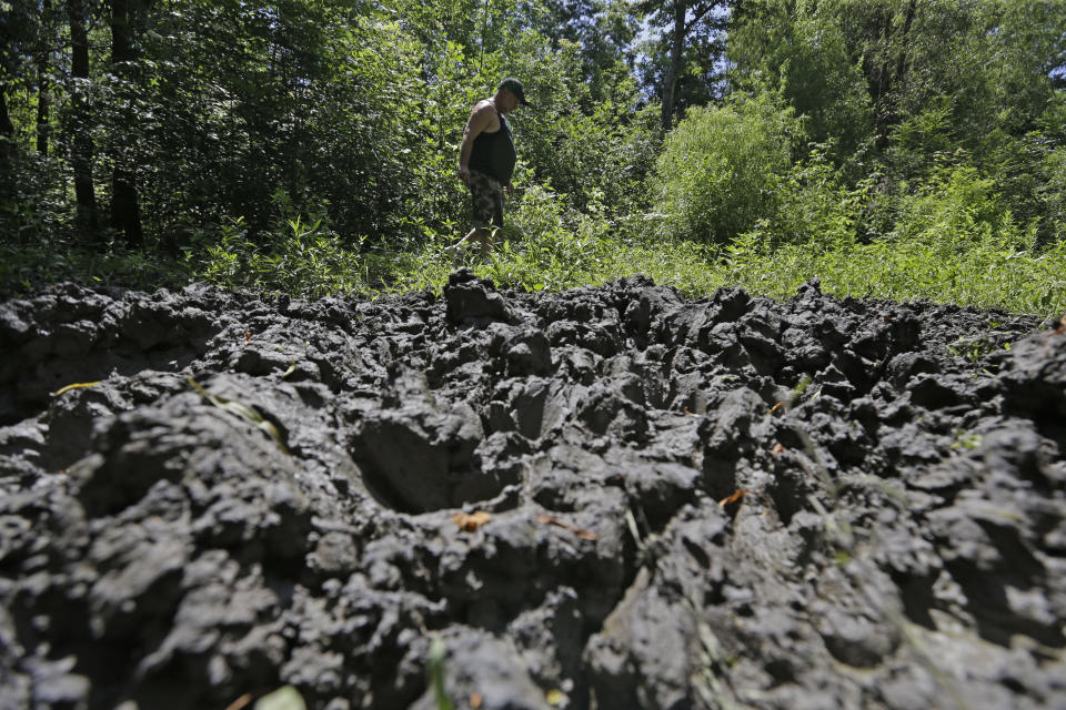 FILE - In this June 17, 2014, file photo, a wildlife trapper, walks past damage from feral hogs that happened overnight while foraging near one of his traps in New Orleans. An exploding population of hard-to-eradicate “super pigs” in Canada is threatening to spill south of the border, and northern states like Minnesota, North Dakota, Montana are taking steps to stop the invasion. (AP Photo/Gerald Herbert, File)